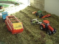 Thumbs/tn_tim (213) (Large).jpg